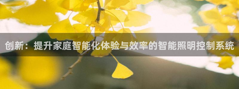 创新:提升家庭智能化体验与效率的智能照明