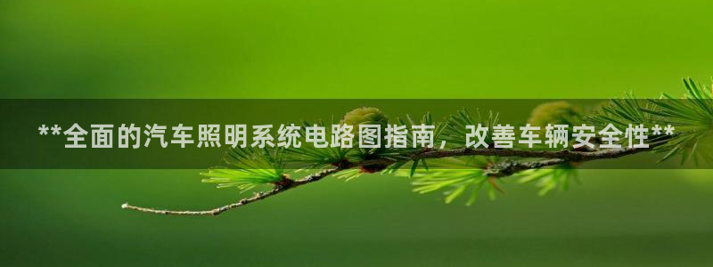 **全面的汽车照明系统电路图指南,改善车