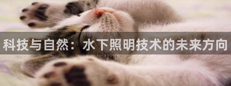 科技与自然:水下照明技术的未来方向